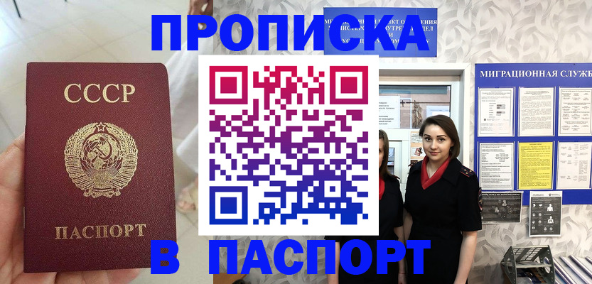прописка 2025 в Кингисеппе