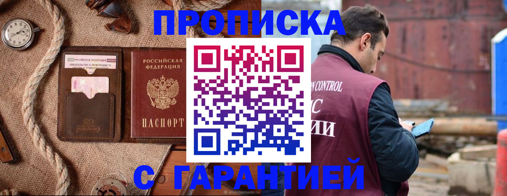 прописка поиск в Кингисеппе